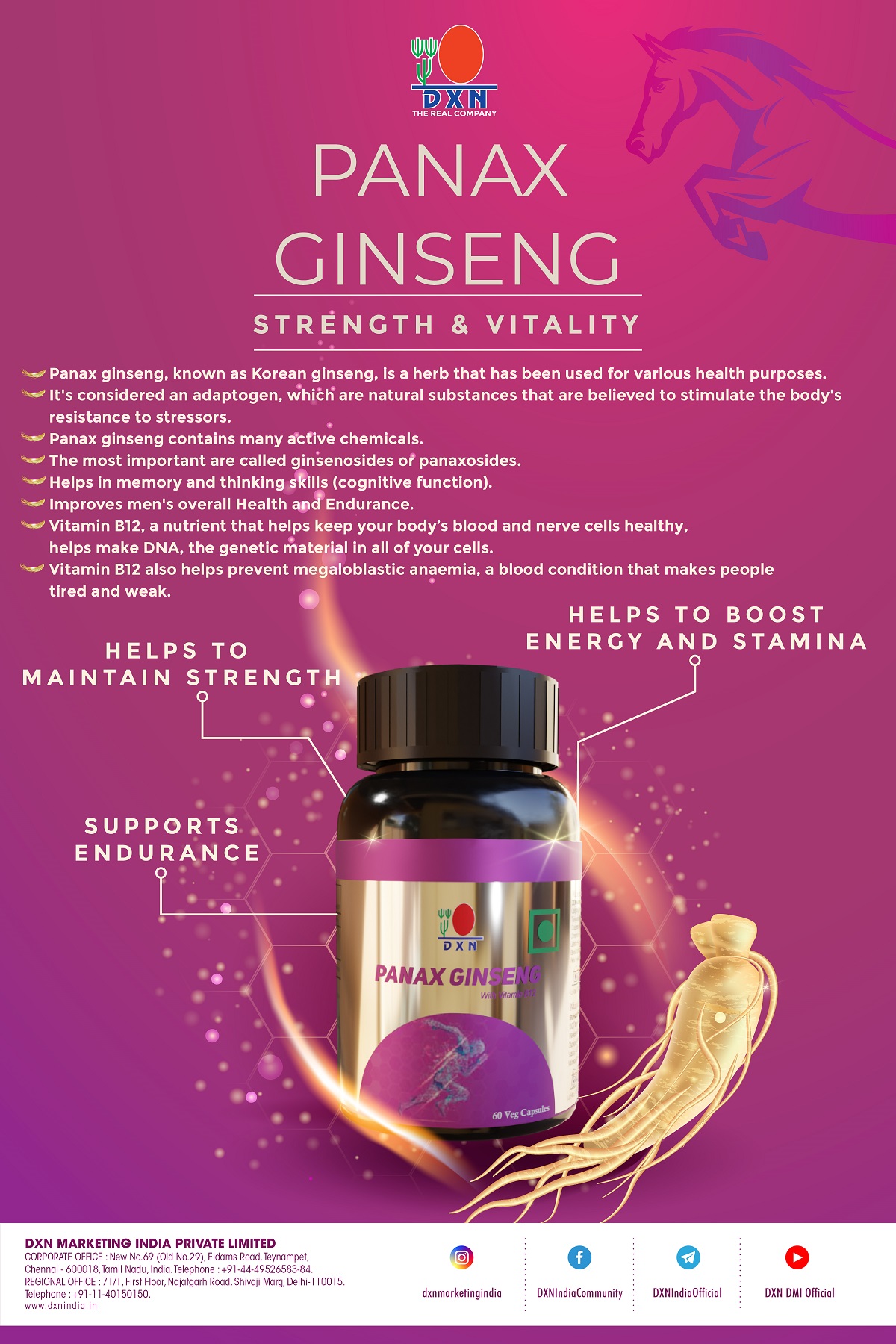 DXN Panax-Ginseng 60's